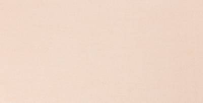Apricot 24 502