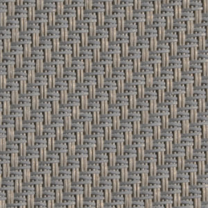 033001 - oyster shell